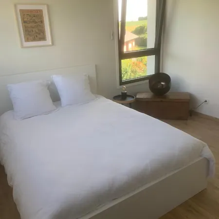 Maison Avec Piscine Et Jacuzzi * Longuenesse